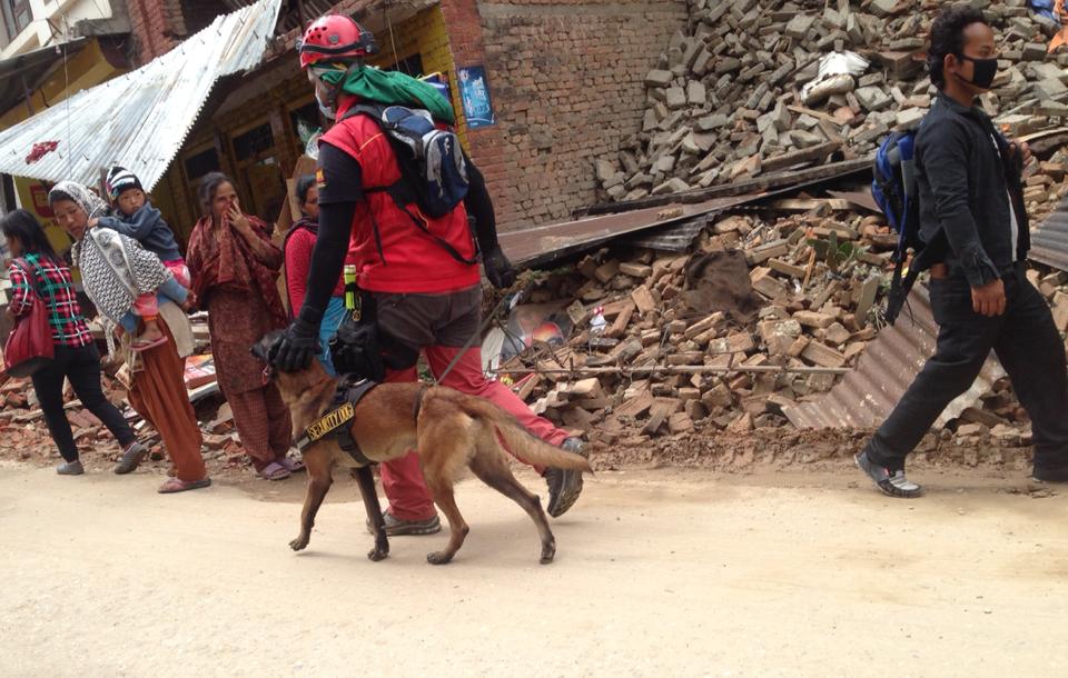 2015 earthquake aftermath in kathmandu1665490331.jpg